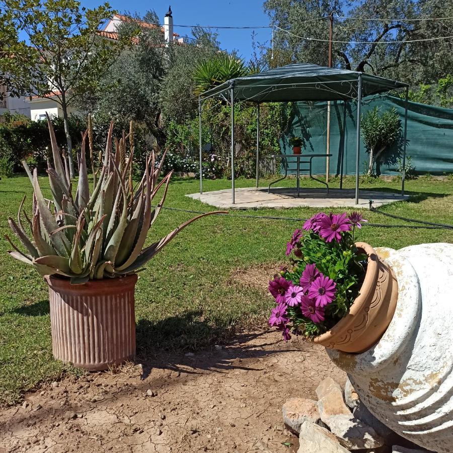 Villa Itea'S Garden House Kirra Esterno foto
